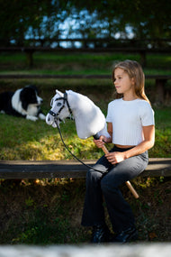 Girl in a white top sitting on a bench with the light grey Hobby Horse in a black bridle, a border collie behind