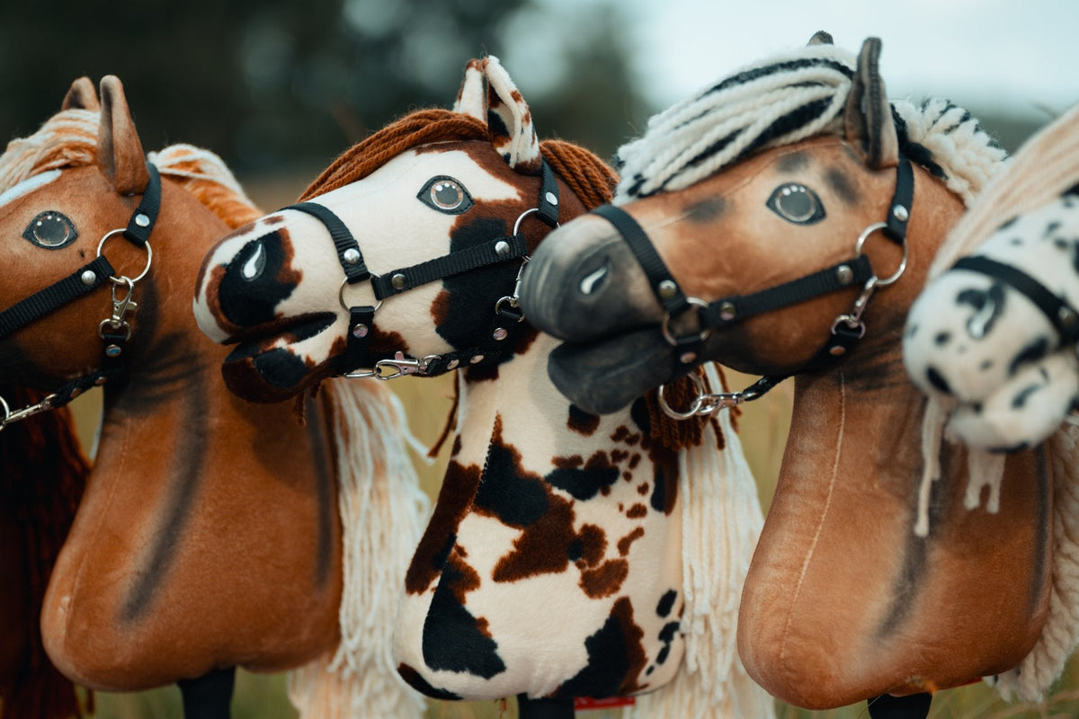Käpphästar med svarta grimmor på amerikanska mästerskapet i Hobby Horse