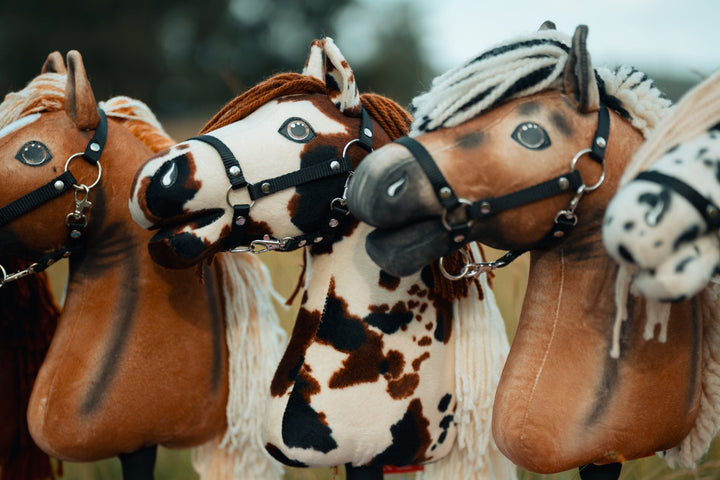 Käpphästar med svarta grimmor på amerikanska mästerskapet i Hobby Horse