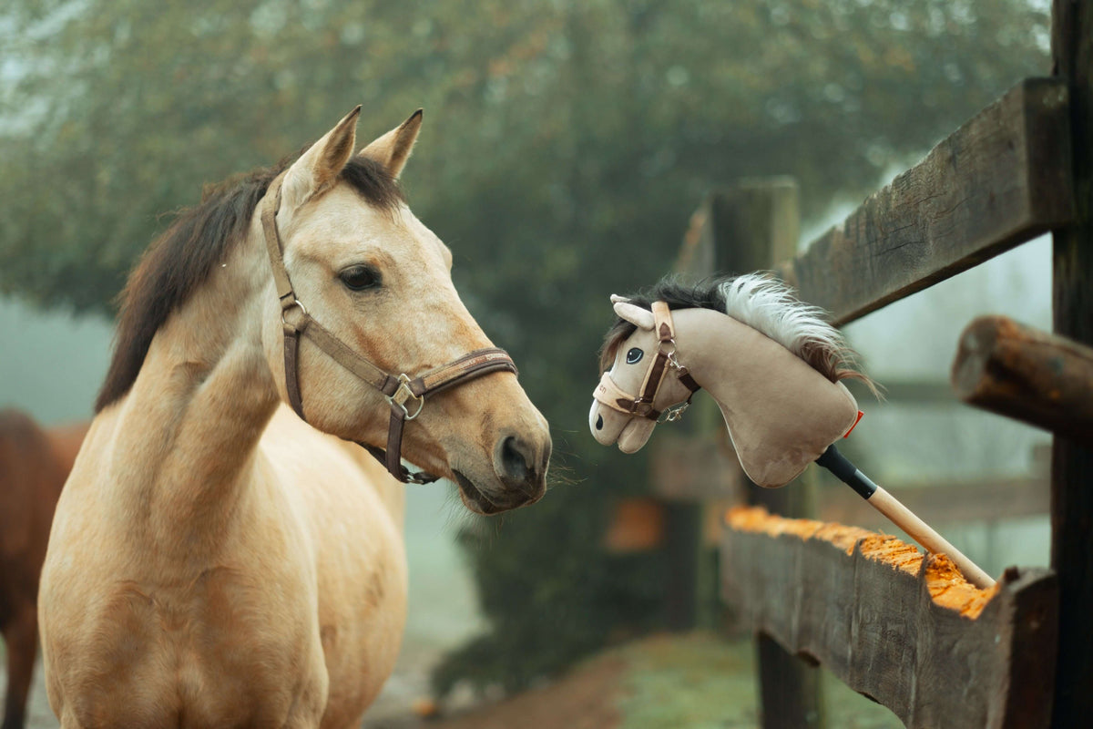 Light brown horse in a brown halter looking at a beige Hobby Horse resting on a wooden fence on a foggy day