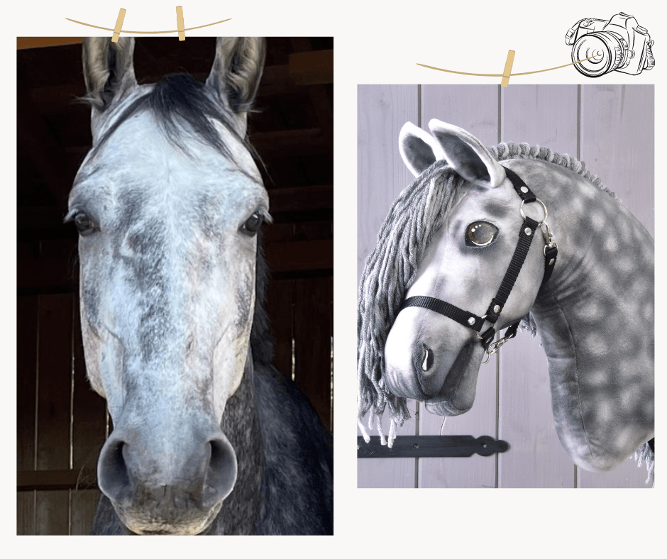 Side-by-side photos of a dapple grey horse and its dapple grey Hobby Horse copy with a grey yarn mane and black halter