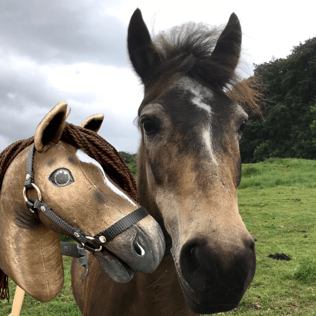 Brown horse with a white star in a green field next to a golden brown Hobby Horse with a braided mane and black halter