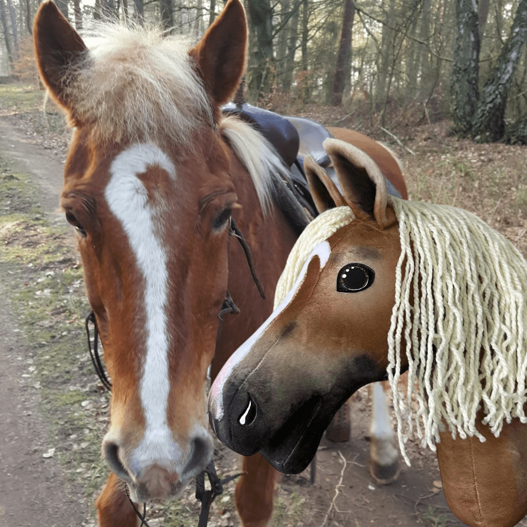Chestnut horse with a blaze and flaxen mane on a forest path next to a chestnut Hobby Horse with a cream yarn mane