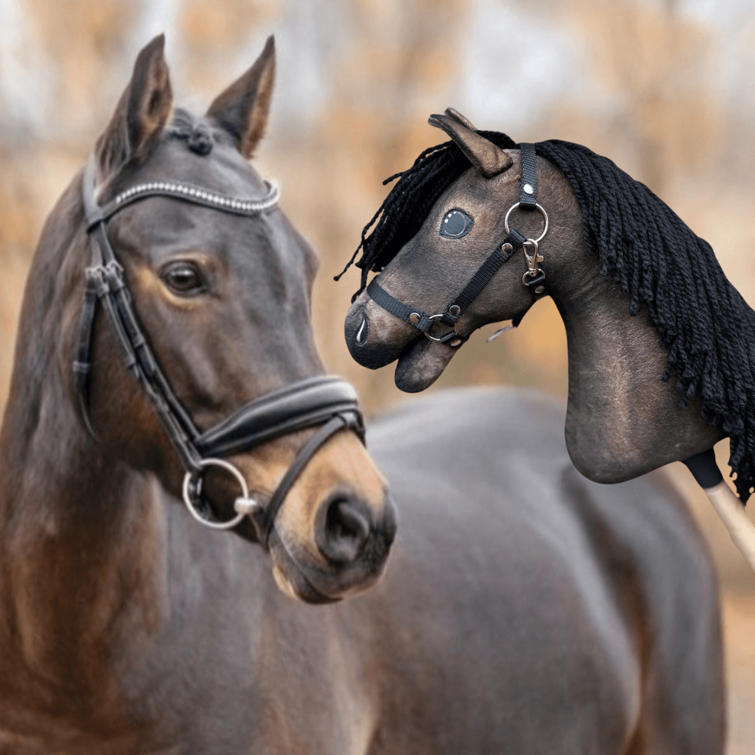 Dark bay horse in a bridle with a sparkly browband beside its dark brown Hobby Horse copy with a black yarn mane