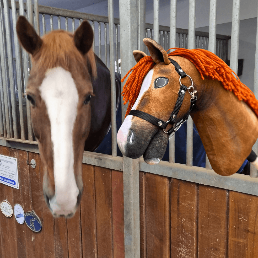 Chestnut horse with a broad blaze looking out of its stable next to a chestnut Hobby Horse with an orange yarn mane
