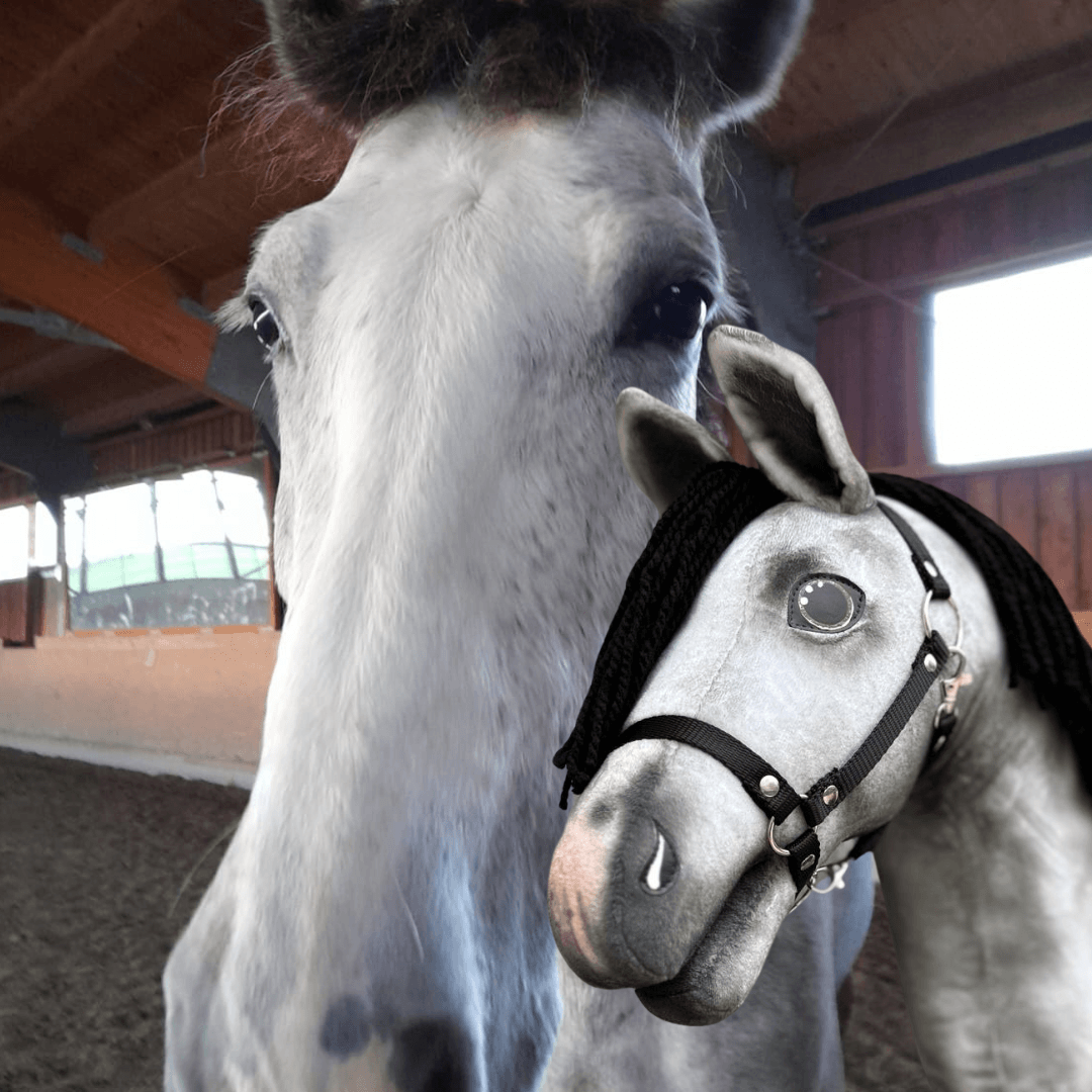 Grey horse in an indoor arena with its dapple grey Hobby Horse copy in front, wearing a black yarn mane and black halter