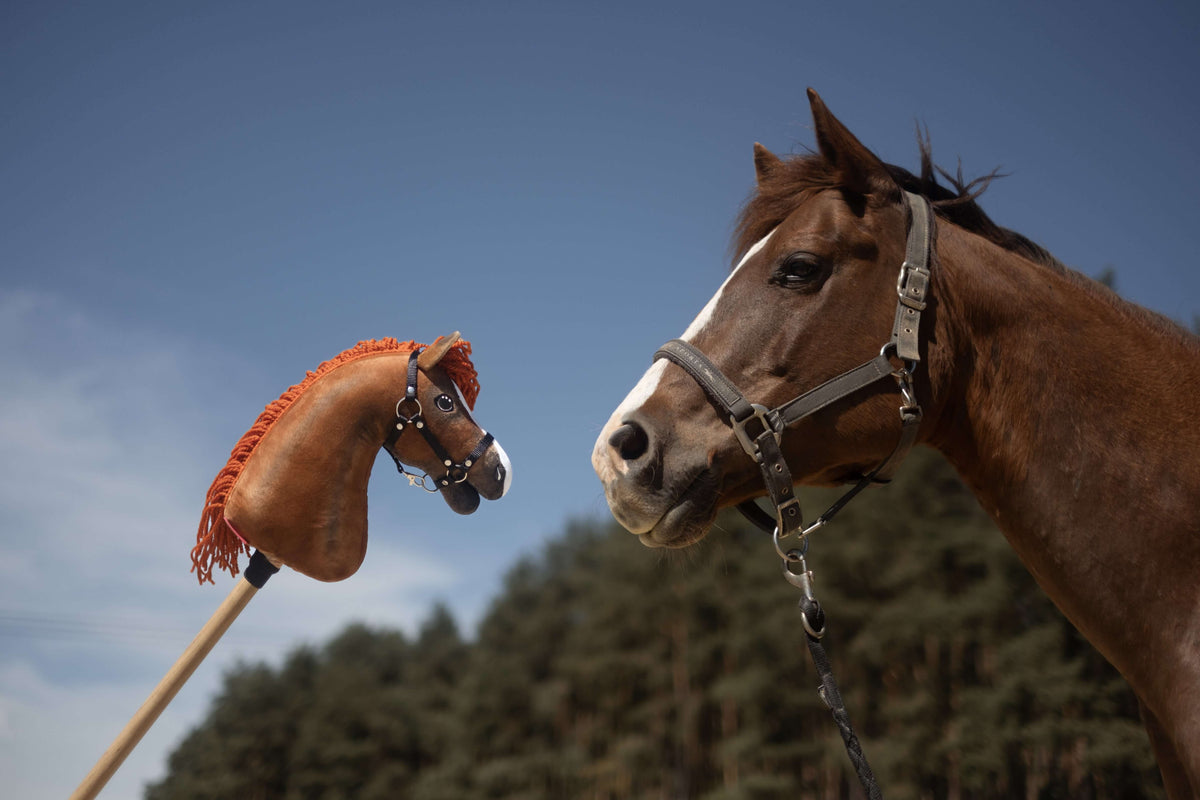 Chestnut horse with a blaze in a leather halter faces its Hobby Horse copy with an orange fringed mane and black halter