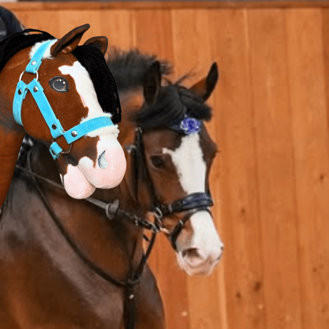 Bay horse with a blaze and a blue flower on its bridle beside a brown Hobby Horse with a pink muzzle and light blue halter