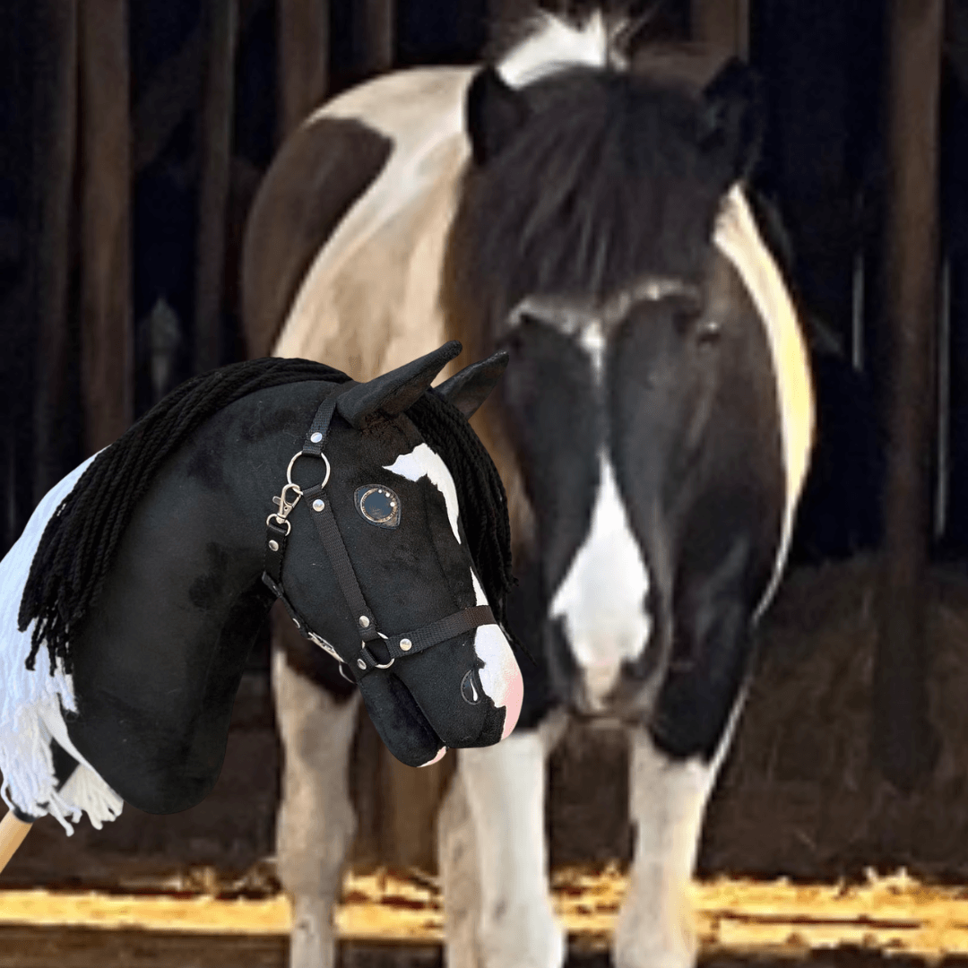 Black and white pony in a stable behind its Hobby Horse copy, black with a white blaze, black yarn mane and black halter