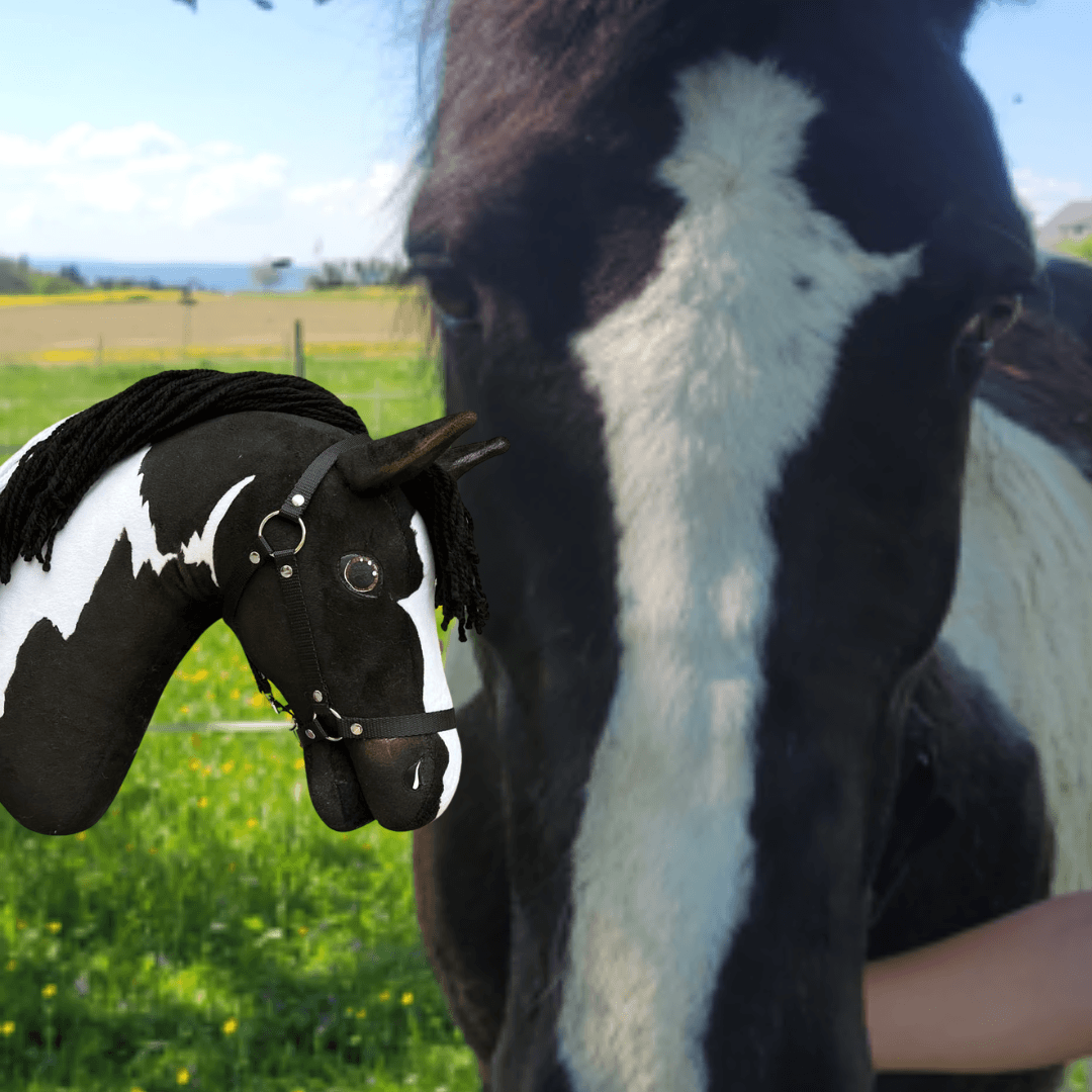 Black and white horse in a meadow with dandelions next to its black and white Hobby Horse copy with a black yarn mane