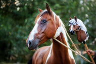 LarDen Hobby Horse efter ditt foto, en fux- och vitskäckig kopia som hålls upp bredvid den matchande riktiga painthästen