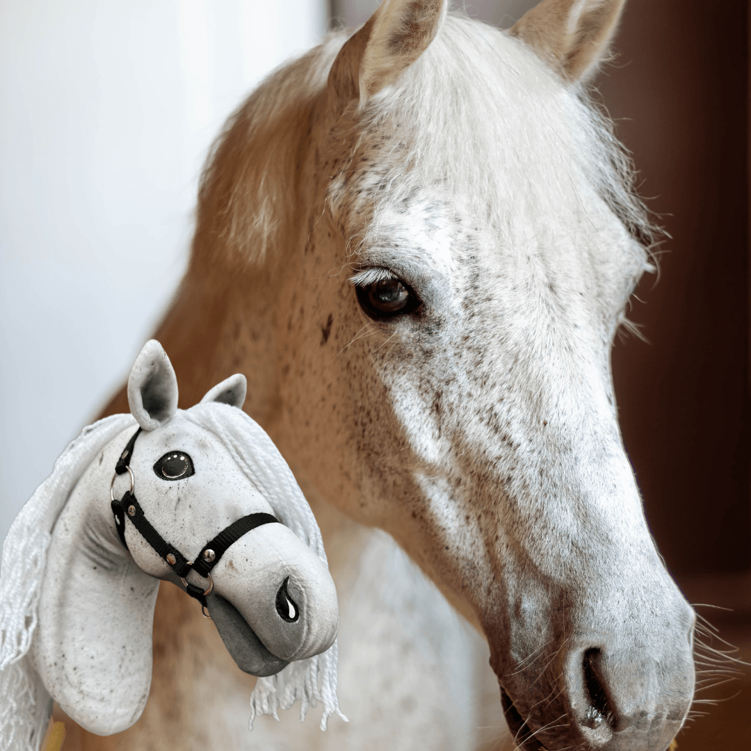 Flea-bitten grey horse in close-up beside a pale grey Hobby Horse with a white fringed mane and black halter