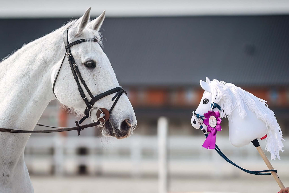 Grey horse in a black bridle beside its white Hobby Horse copy with a fringed mane and a purple rosette, white fence behind