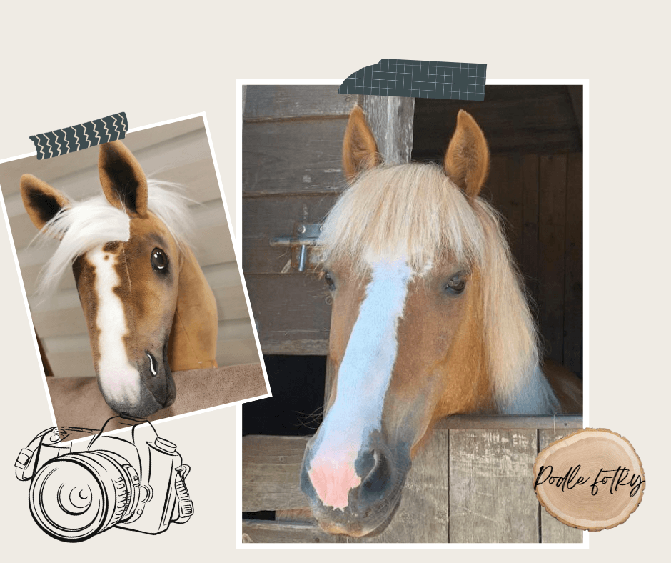 Collage of a palomino Hobby Horse with a white mane and blaze next to the real palomino horse looking out of its stable