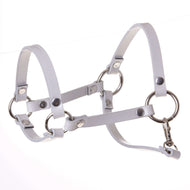 Hobby Horse Halter Light Grey Leatherette by LarDen with silver rings, rivets and snap hook, shown on white