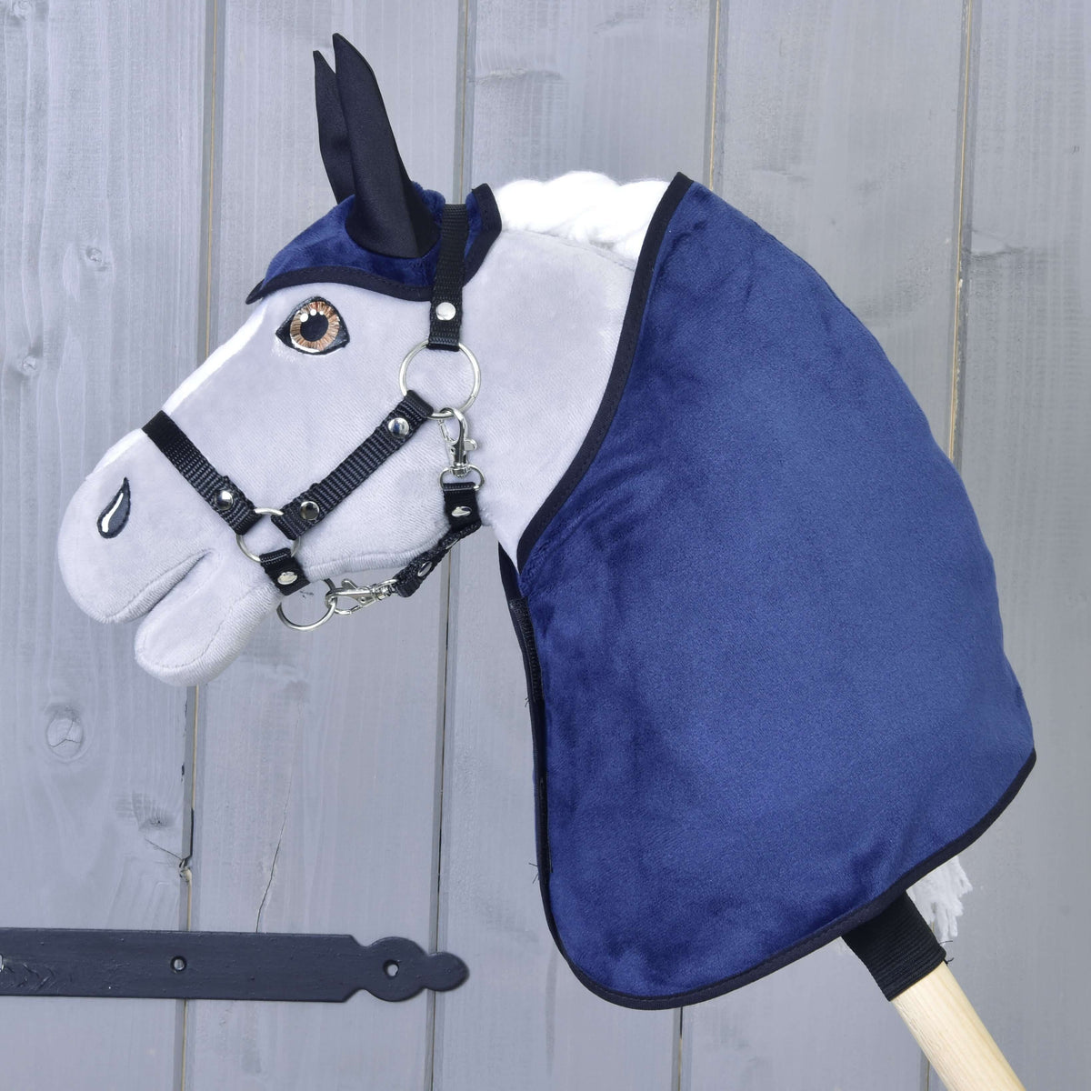 Grey Hobby Horse with brown eyes in a black halter wearing the dark blue velvety blanket and ear bonnet