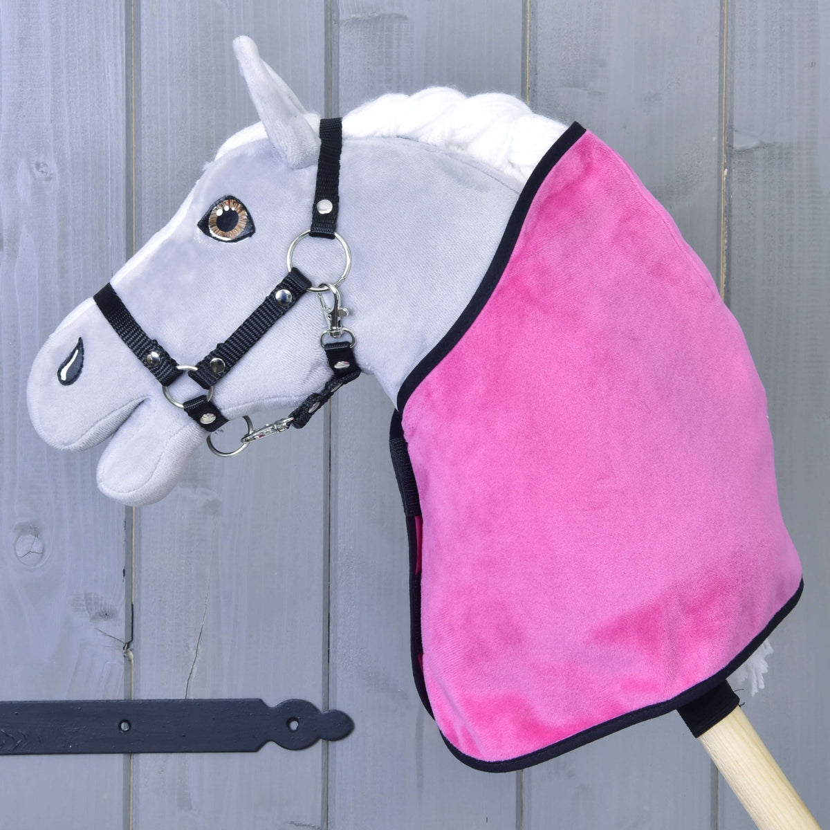 Grey Hobby Horse in a black halter wearing only the hot pink velvety blanket with black binding