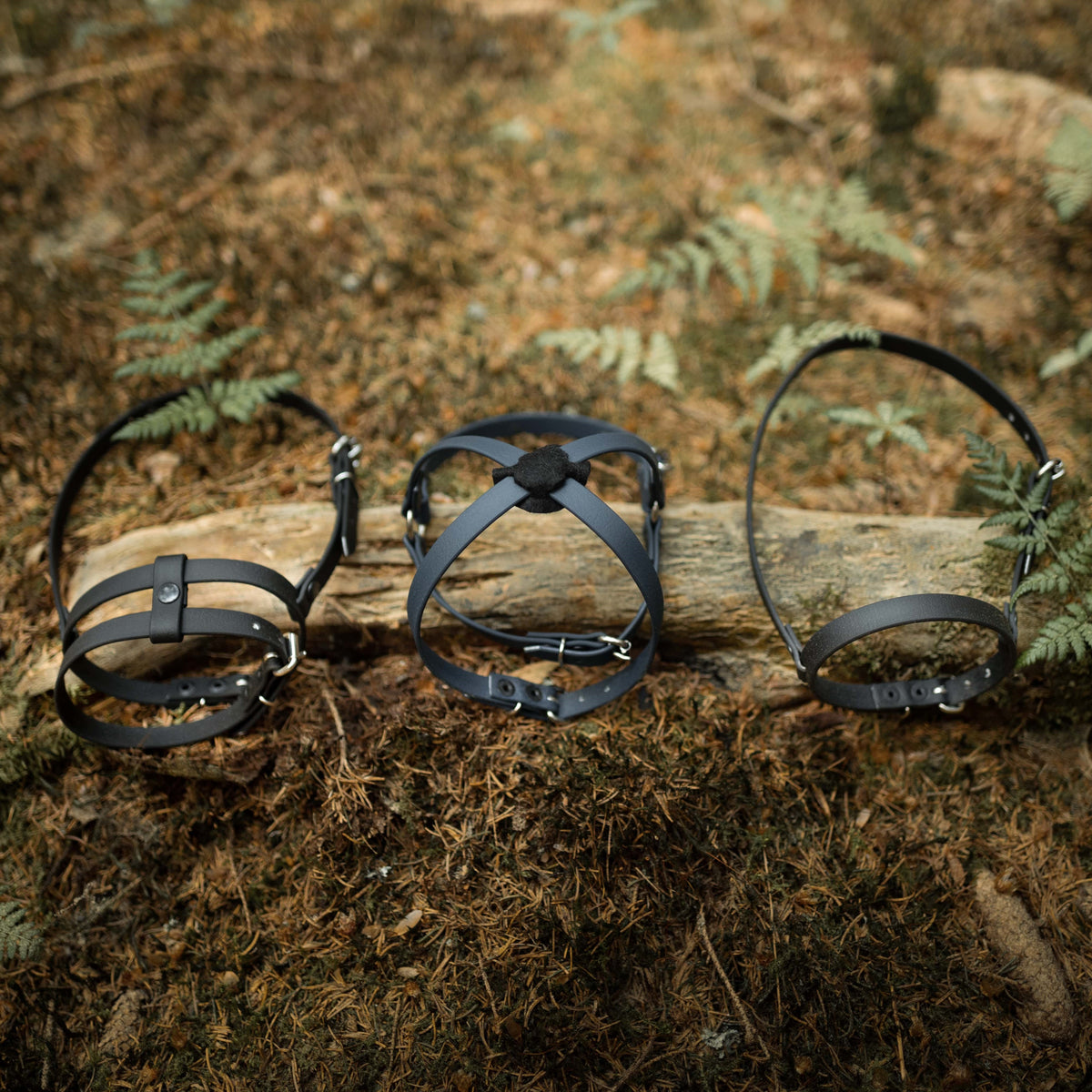 Three black Hobby Horse nosebands, one of them crossed, laid on a fallen log among ferns on the forest floor