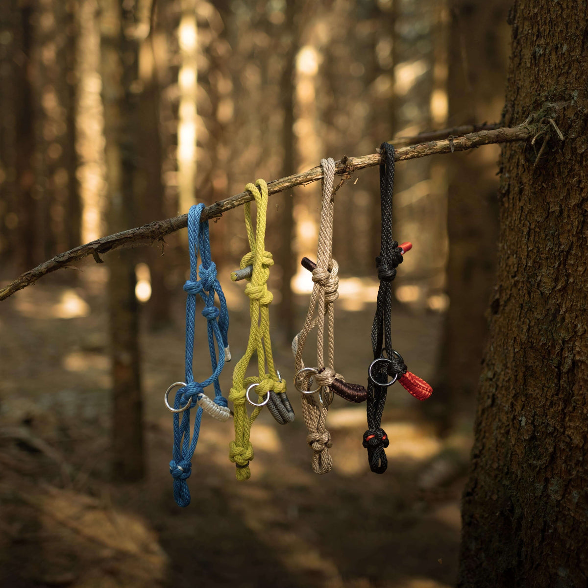 Blue, yellow, beige and black knotted rope halters with metal rings hanging from a thin branch between forest trees