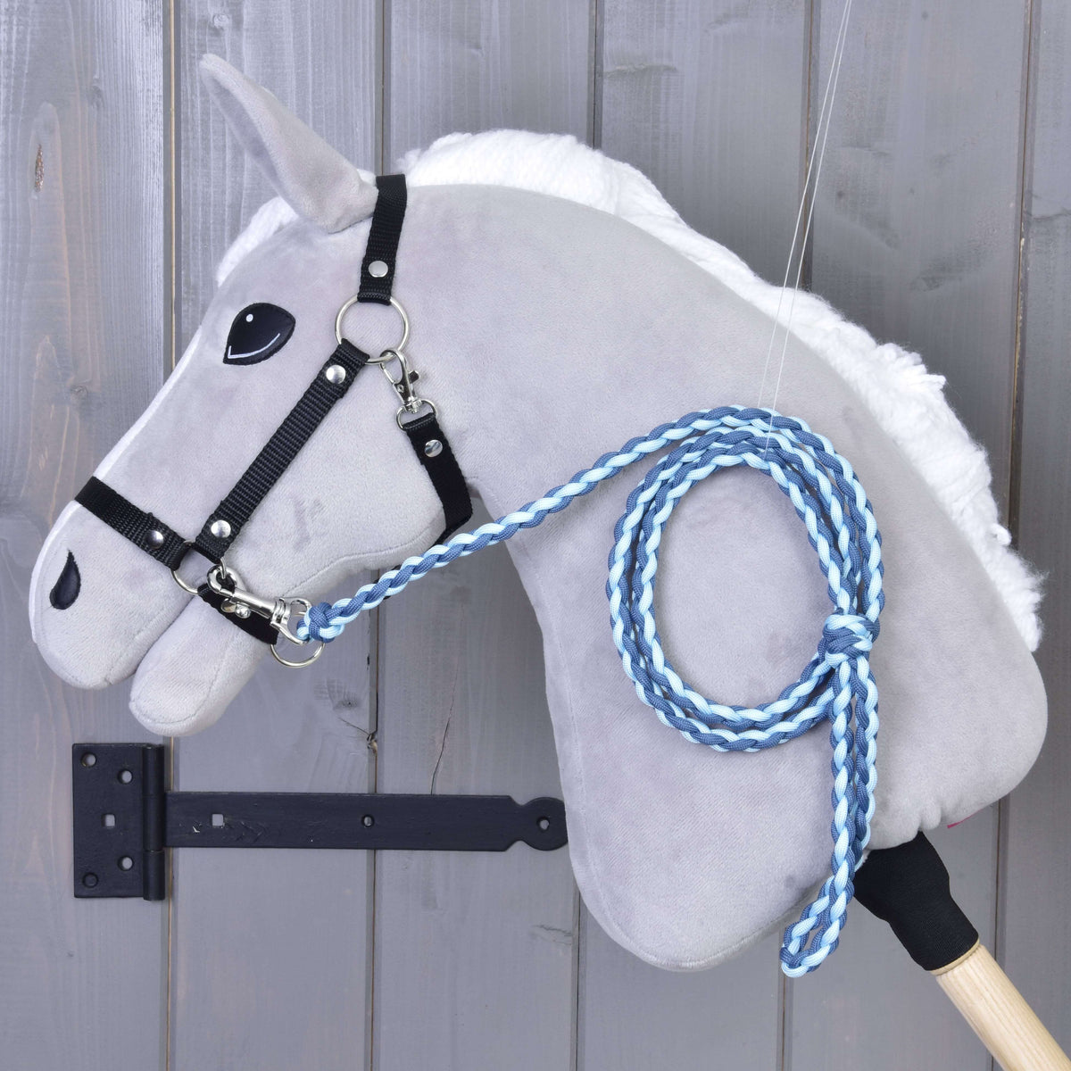 Grey Hobby Horse in a black halter with the dark and light blue braided lead rope coiled over its neck