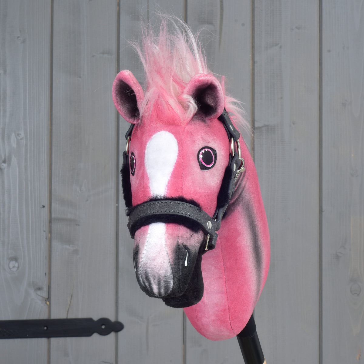 Hobby Horse Pinkie from the front, white blaze down the pink face, pink-rimmed eyes and a pink forelock between the ears