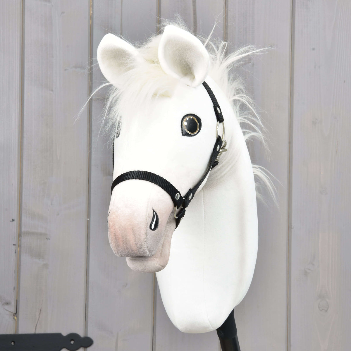 Front view of Hobby Horse Nexus with white ears, gold-rimmed dark eyes and a pinkish shaded muzzle in a black halter