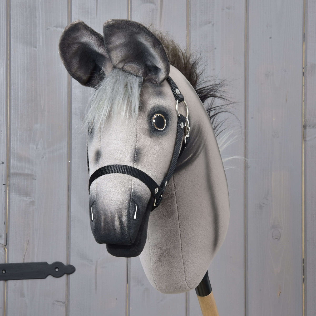 Hobby Horse åsna Olin framifrån med stora mörka öron, grå pannlugg, mörkt skuggade ögon och svart grimma