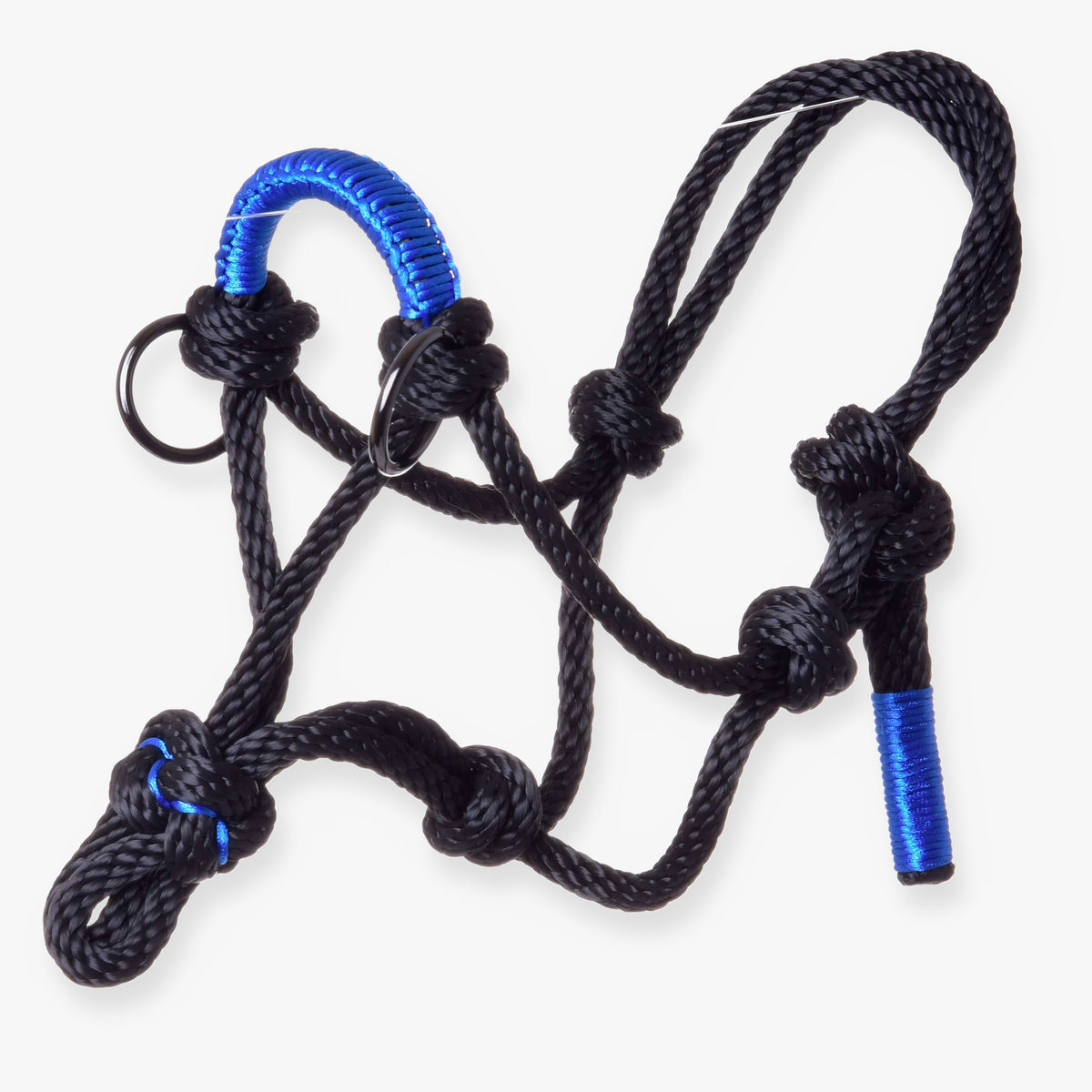 Hobby Horse Rope halter Azure by LarDen in black knotted rope with a royal blue wrapped noseband and black rings