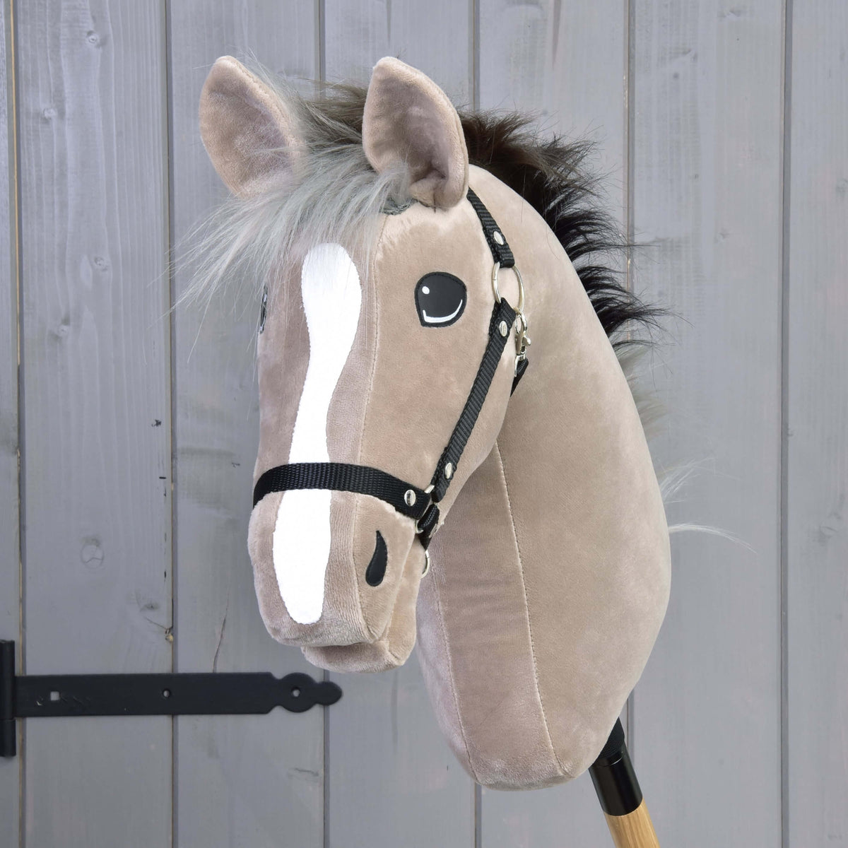 Hobby Horse Piccolino framifrån med lång vit bläs, silvergrå pannlugg och svart grimma mot grått trä