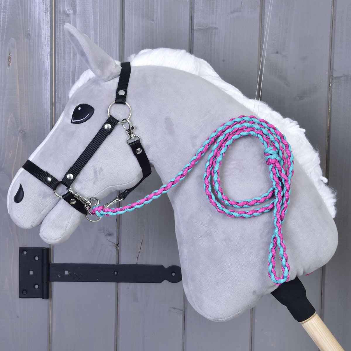 Grey Hobby Horse in a black halter with the pink and turquoise braided lead rope coiled over its neck