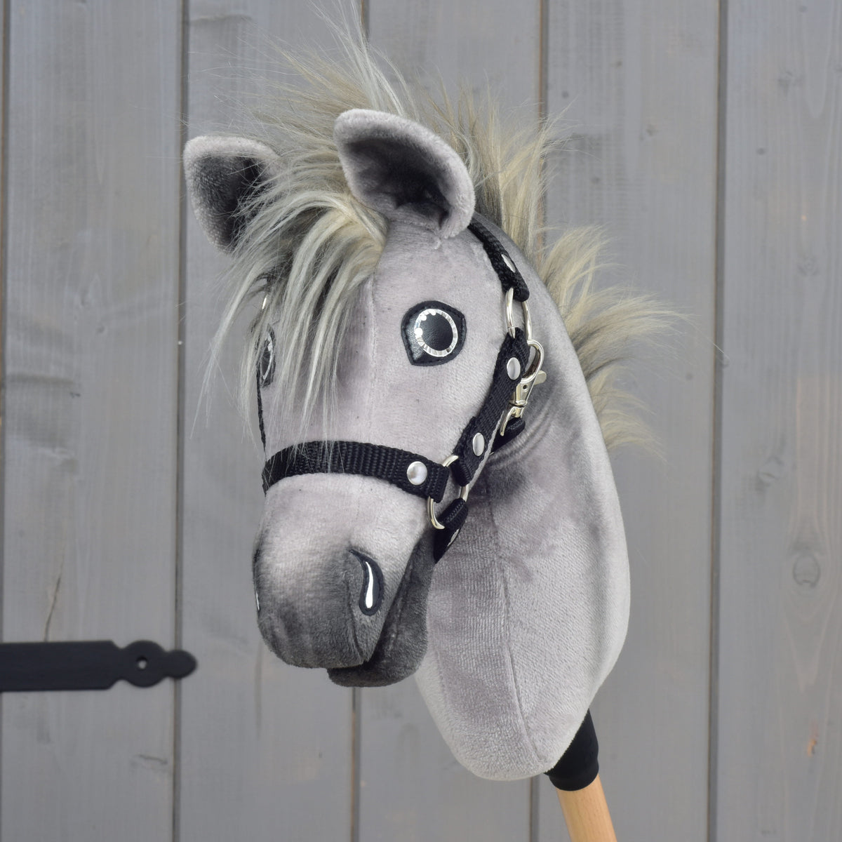 Hobby Horse Prestige from the front, wispy forelock between grey ears, sparkly eyes and black webbing halter