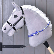 Grey Hobby Horse in a black halter with the blue and white striped rope cordeo around its neck