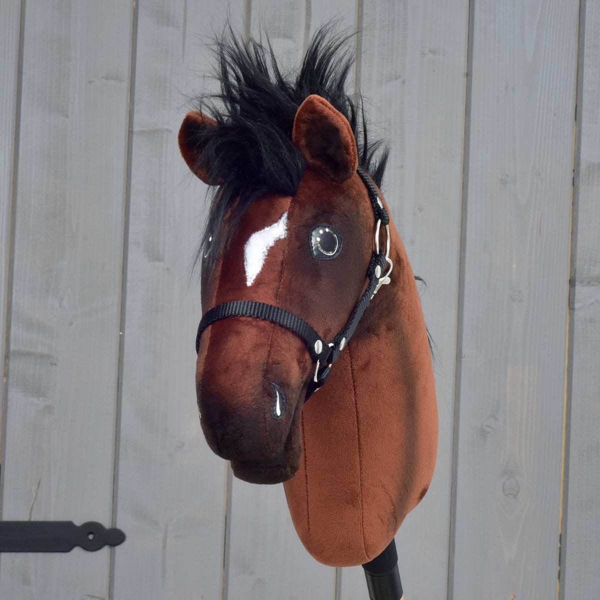 Hobby Horse Roger framifrån med vit bläs, silvergrå ögon, svart pannlugg och svart grimma mot en grå vägg