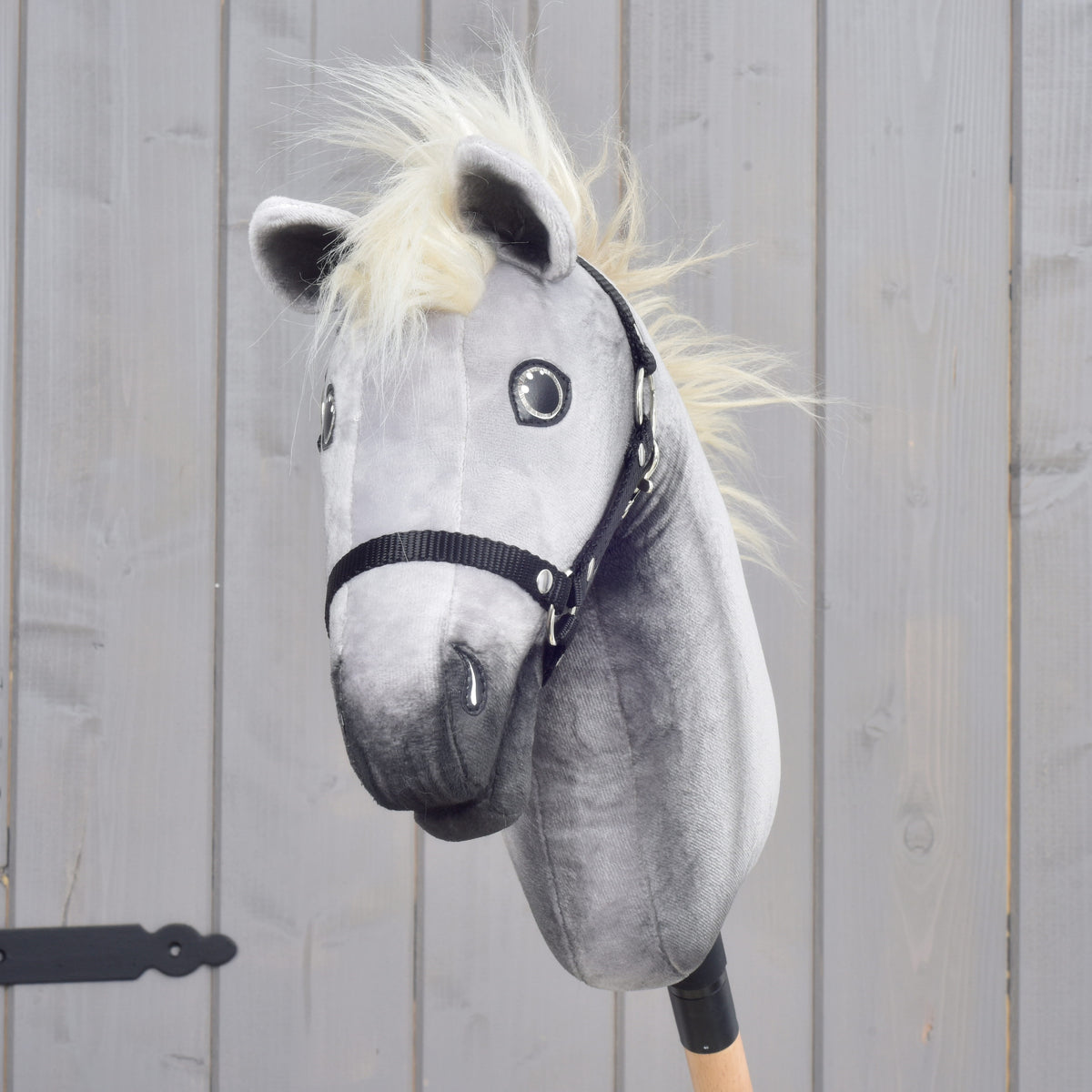Front view of the grey Silver Dream Hobby Horse with shaded dark muzzle, fluffy cream mane and black nylon halter