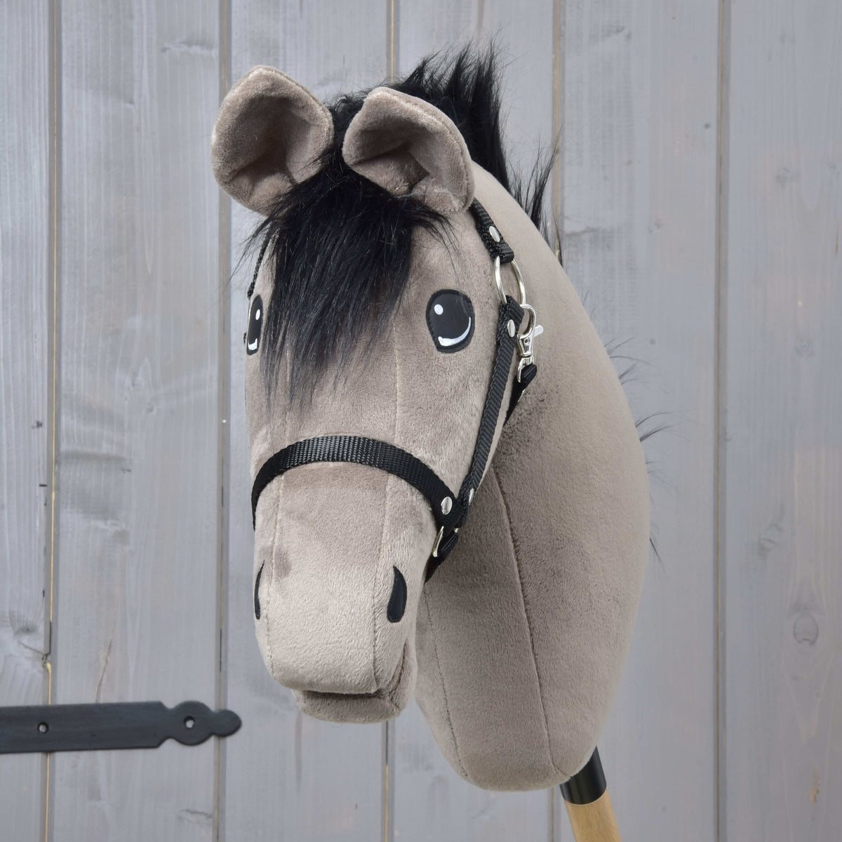 Hobby Horse Thor framifrån med fluffig svart pannlugg mellan gråbruna öron och svart grimma