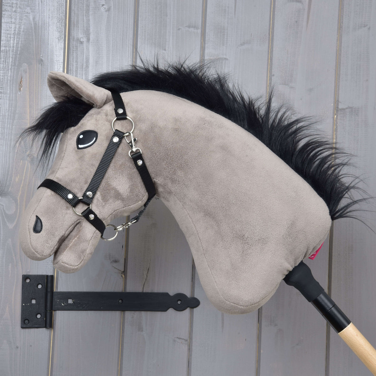 Hobby Horse Thor i vänsterprofil med den fluffiga svarta manen längs den gråbruna halsen och svart grimma