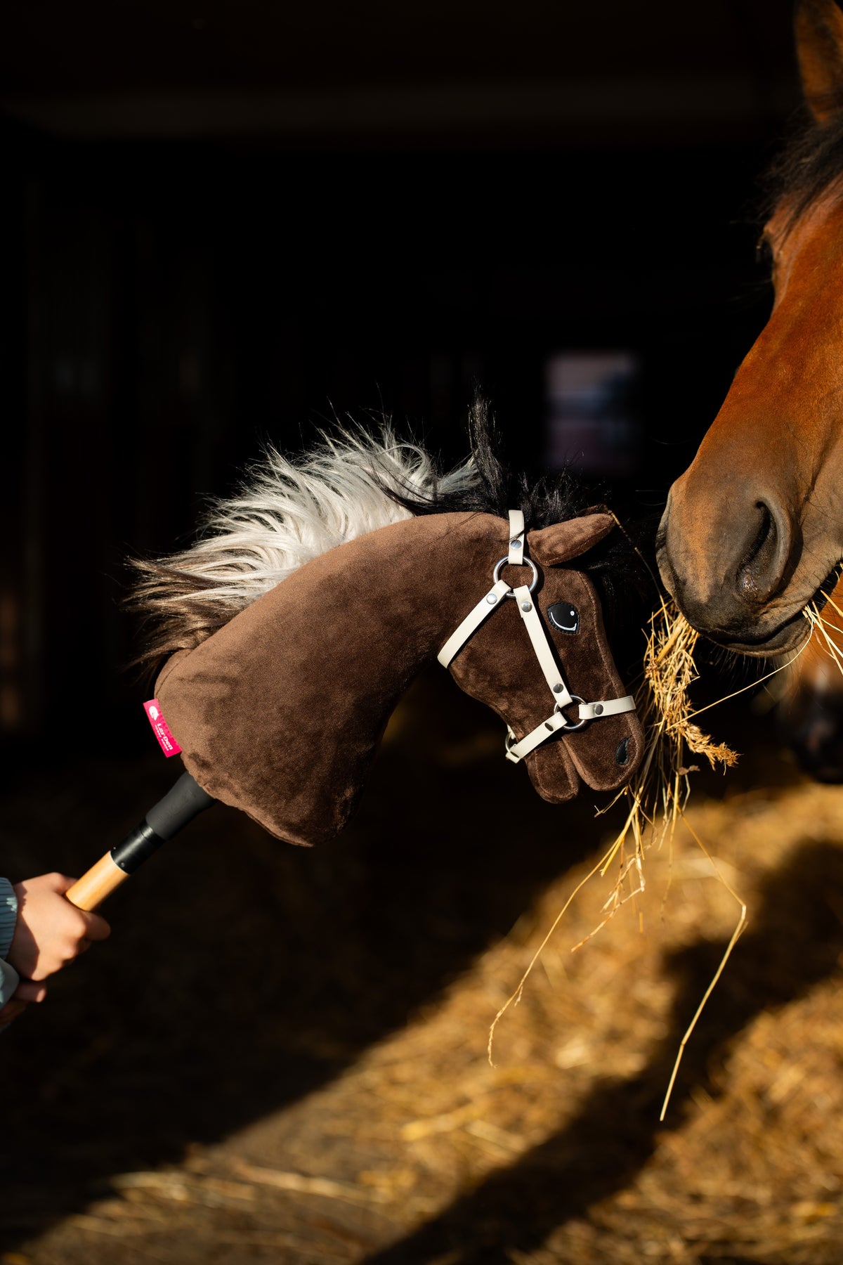 Hobby Horse Alfredo i vit grimma mule mot mule med en brun häst som tuggar hö, solljus faller på halmen