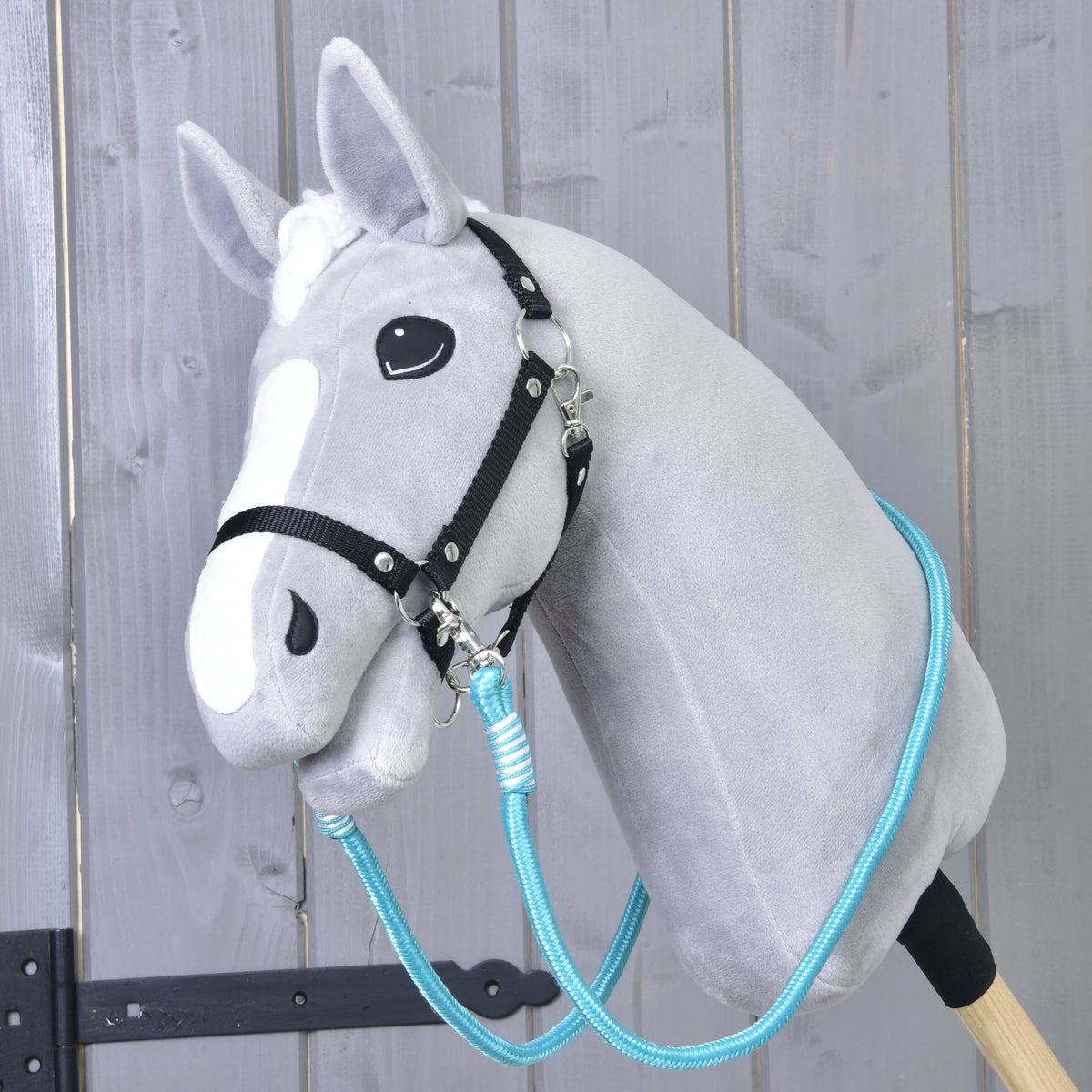Light grey Hobby Horse in a black halter wearing the turquoise Reins Atlantis looped around its neck