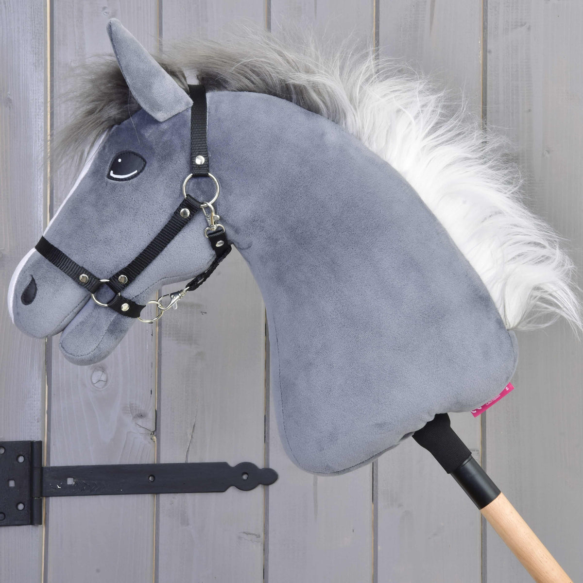 Hobby Horse Beauty in left profile with a fluffy mane shading from dark grey to white and a black halter