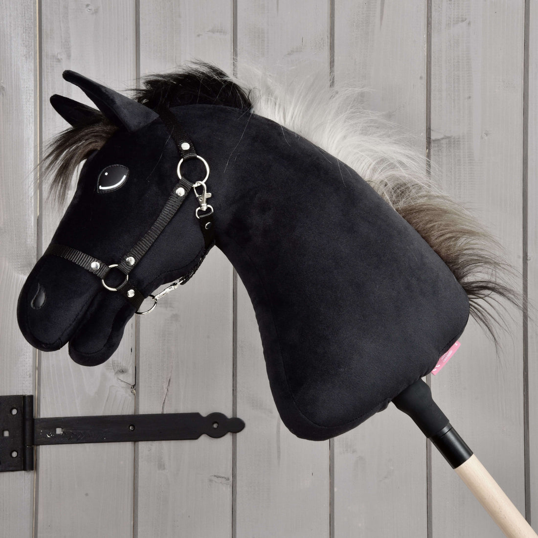 Hobby Horse Bond with Black Halter