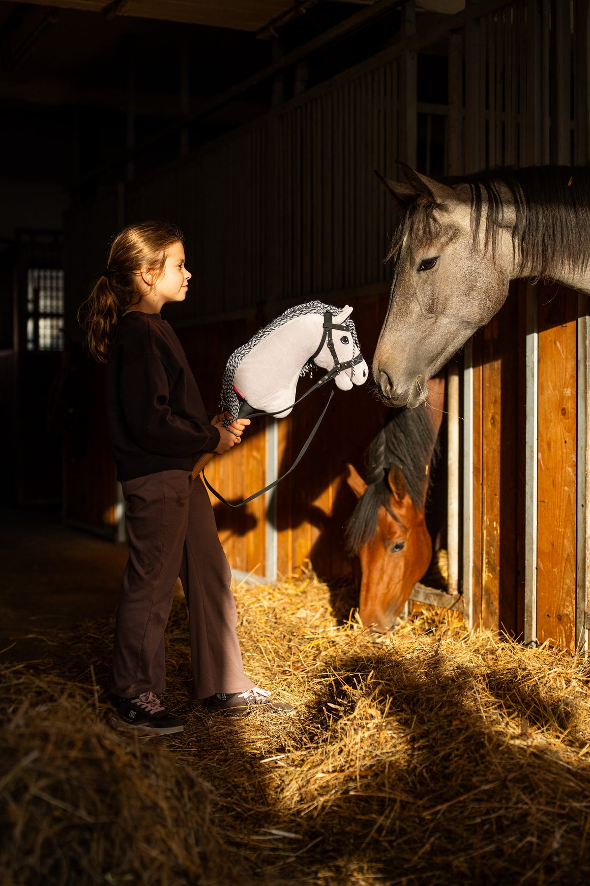 Flicka i mörk sweatshirt i ett stall håller fram Hobby Horse Caesar i svart träns mot en grå häst i sin box