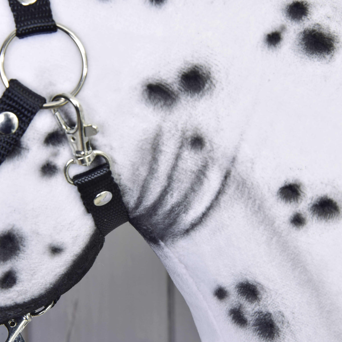 Close-up of the spotted throat of Hobby Horse Chantal with the silver ring and snap clip of the black halter