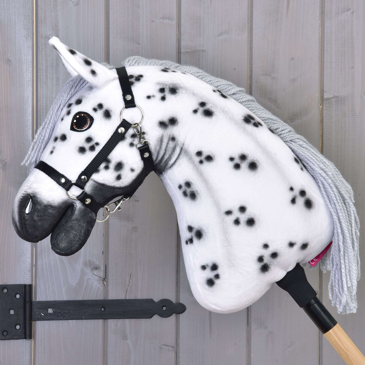 Hobby Horse Chantal in left profile, showing the black spots along the white neck and the black halter