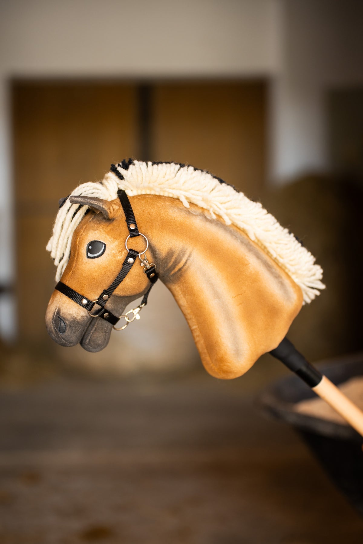 Hobby Horse Colby i ett stall med en suddig trädörr bakom, svart grimma med silverringar och mörkt skuggad mule