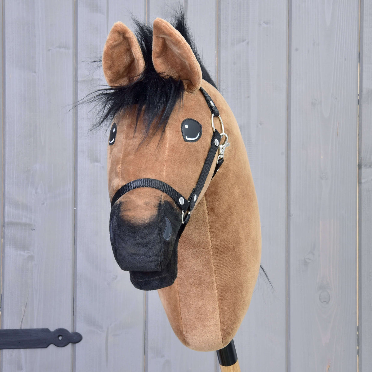 Light brown Hobby Horse seen from the front with a black fur forelock, black muzzle and black halter