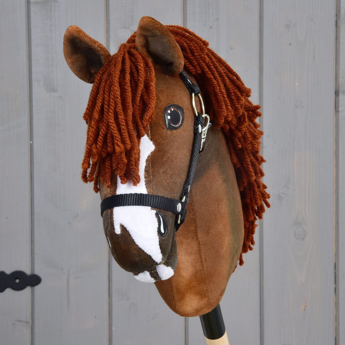 Hobby Horse Cooper med svart grimma framifrån, vit bläs, vit haka och kopparfärgad pannlugg mellan bruna öron