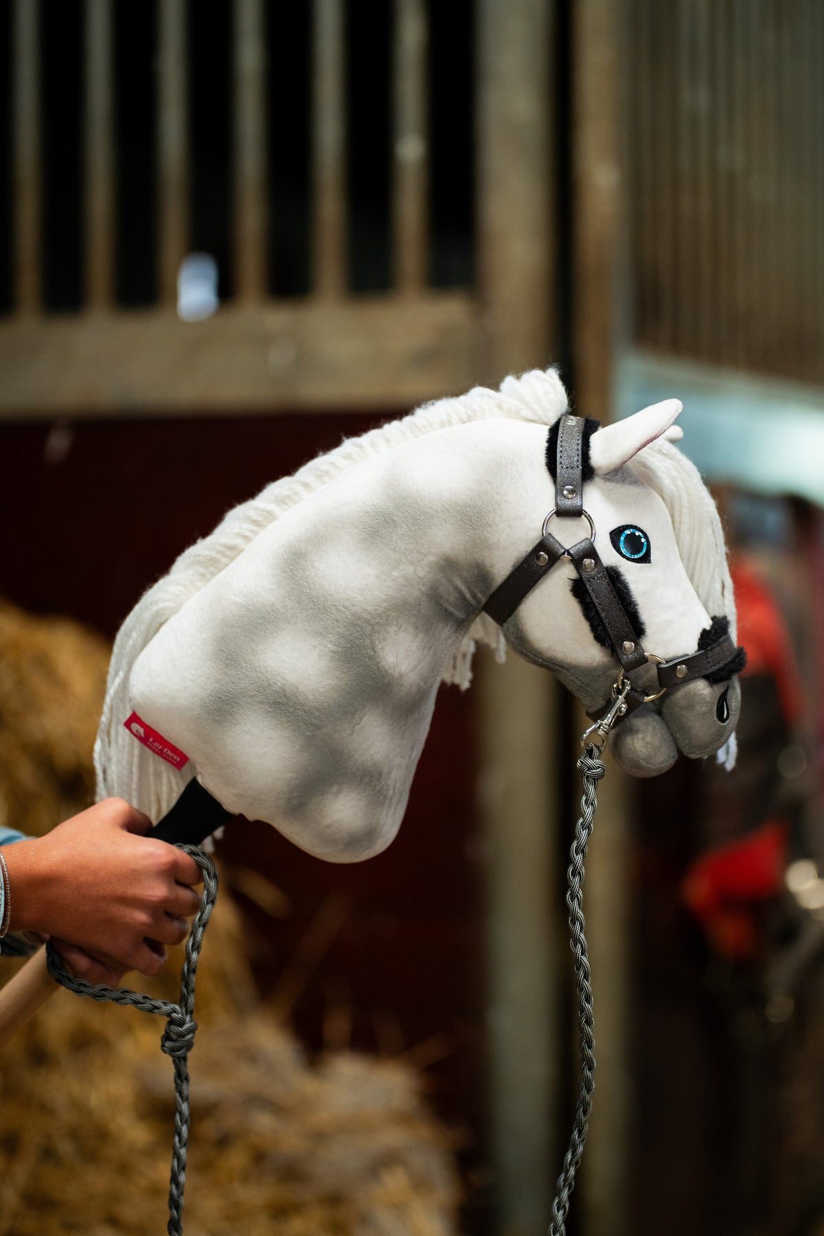 Hobby Horse Elektra med blå ögon i grafitgrå grimma med svart päls och ett grått flätat grimskaft, stallboxar bakom