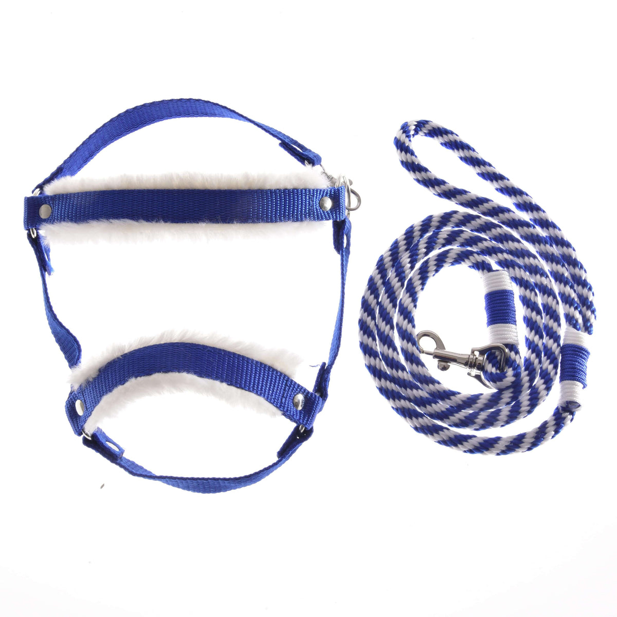Hobby Horse Set Essential Blue by LarDen: royal blue halter with white fur padding and a blue and white twisted lead rope