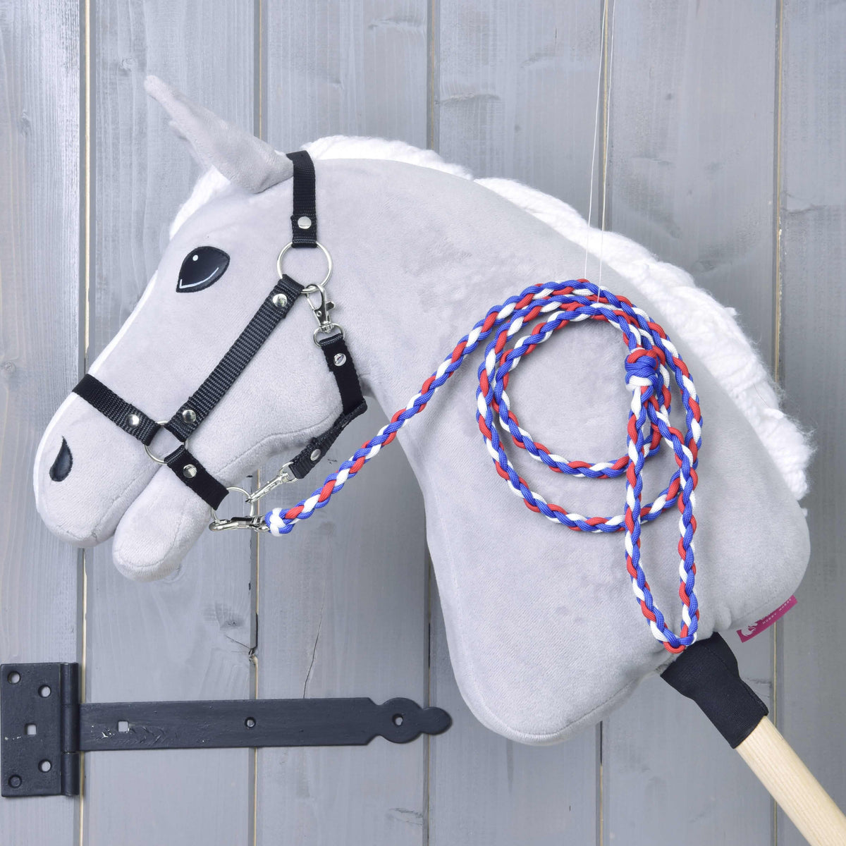 Light grey Hobby Horse in a black halter with the braided blue, red and white rope stripe Flag CZ lead rope