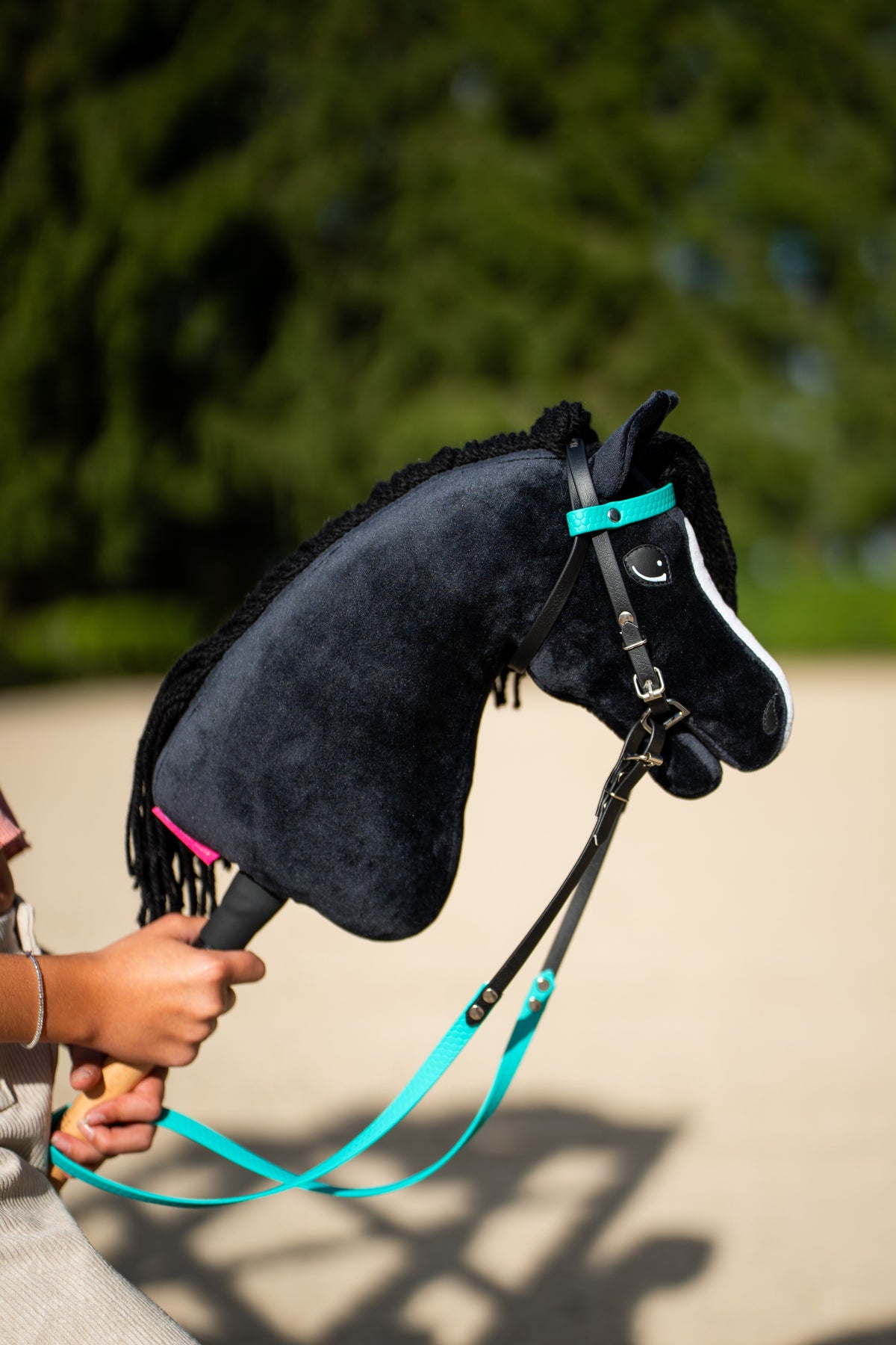 Hobby Horse Freya in a black bridle with a turquoise browband and turquoise reins, held up on a sunny sand arena